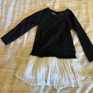 Gap dress sweater and pleated chiffon skirt